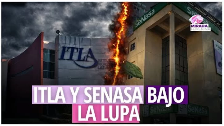 Caso ITLA y SENASA reavivan el debate sobre ética pública y financiamiento político en RD