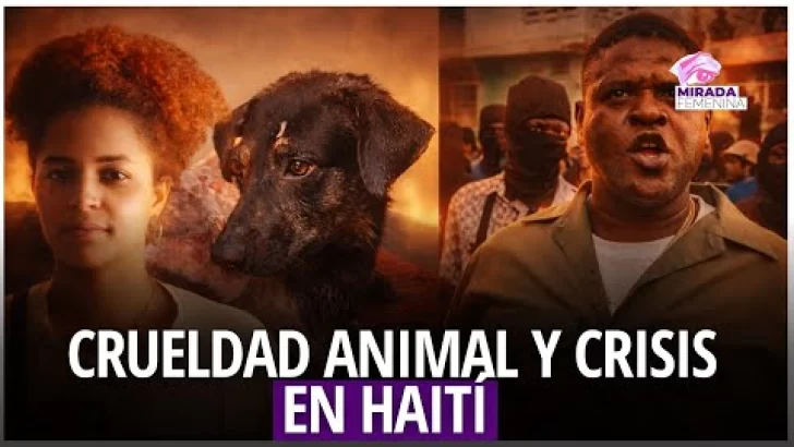 Crueldad animal y crisis en Haití bajo la lupa de Mirada Femenina