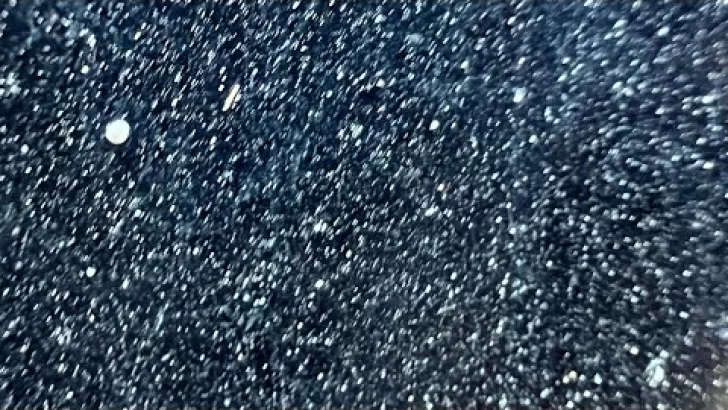 Reconocimientos  en la Procuraduría y más sobre el caso Baní