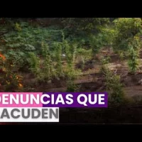 Usuarios de patinetas eléctricas protestan en contra de la incautación de estos dispositivos