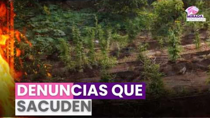 Usuarios de patinetas eléctricas protestan en contra de la incautación de estos dispositivos