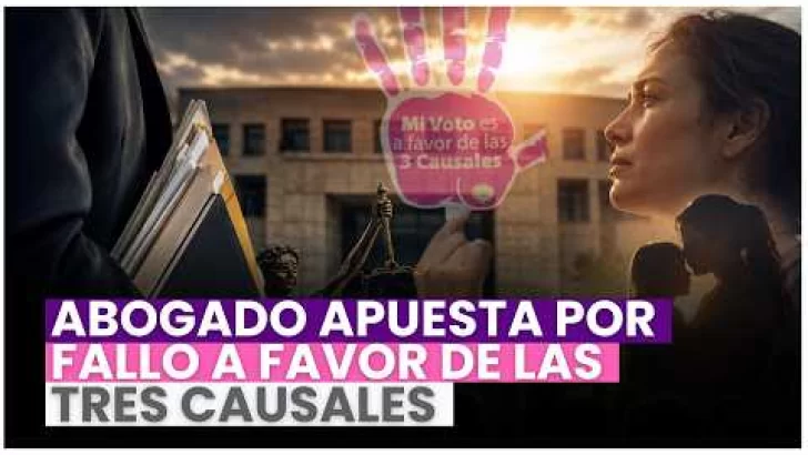 Abogado confía en que el Tribunal Constitucional acoja recurso por las tres causales