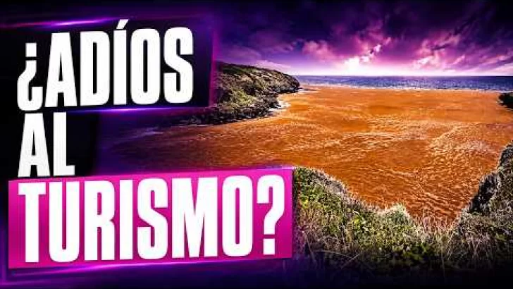 Sargazo en Samaná y los Retos del Nuevo Código Penal: ¿Qué está pasando en RD? Sargazo en Samaná y los Retos del Nuevo Código Penal: ¿Qué está pasando en RD?