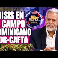 DR-CAFTA y el arroz: Modesto Reyes analiza el futuro del campo dominicano