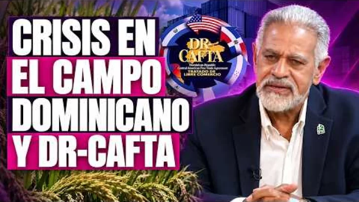 DR-CAFTA y el arroz: Modesto Reyes analiza el futuro del campo dominicano