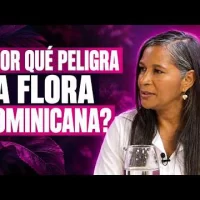 ¿Por qué más de 1,400 plantas dominicanas están en peligro de desaparecer?