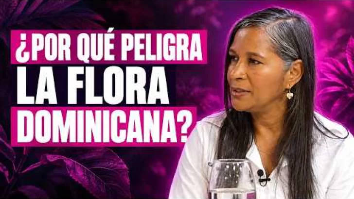 ¿Por qué más de 1,400 plantas dominicanas están en peligro de desaparecer?