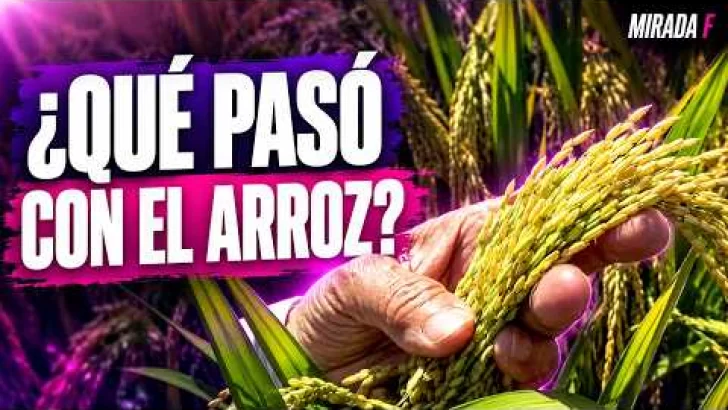 Aranceles al arroz y DR-CAFTA: ¿qué pasó con el decreto 693-24? | Mirada Femenina