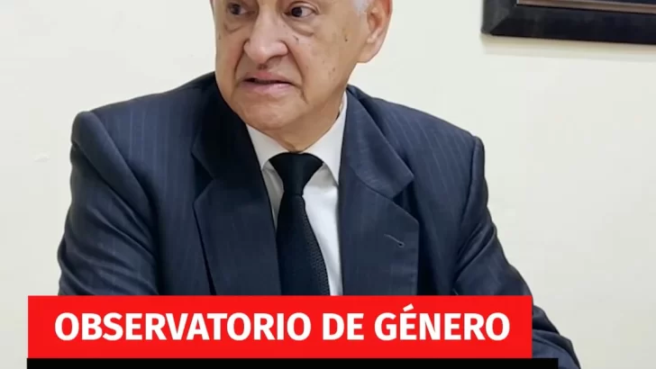 Hernández Peguero pide una ley marco contra la violencia de género
