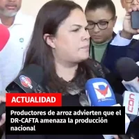 Productores de arroz advierten que el DR-CAFTA amenaza la producción nacional